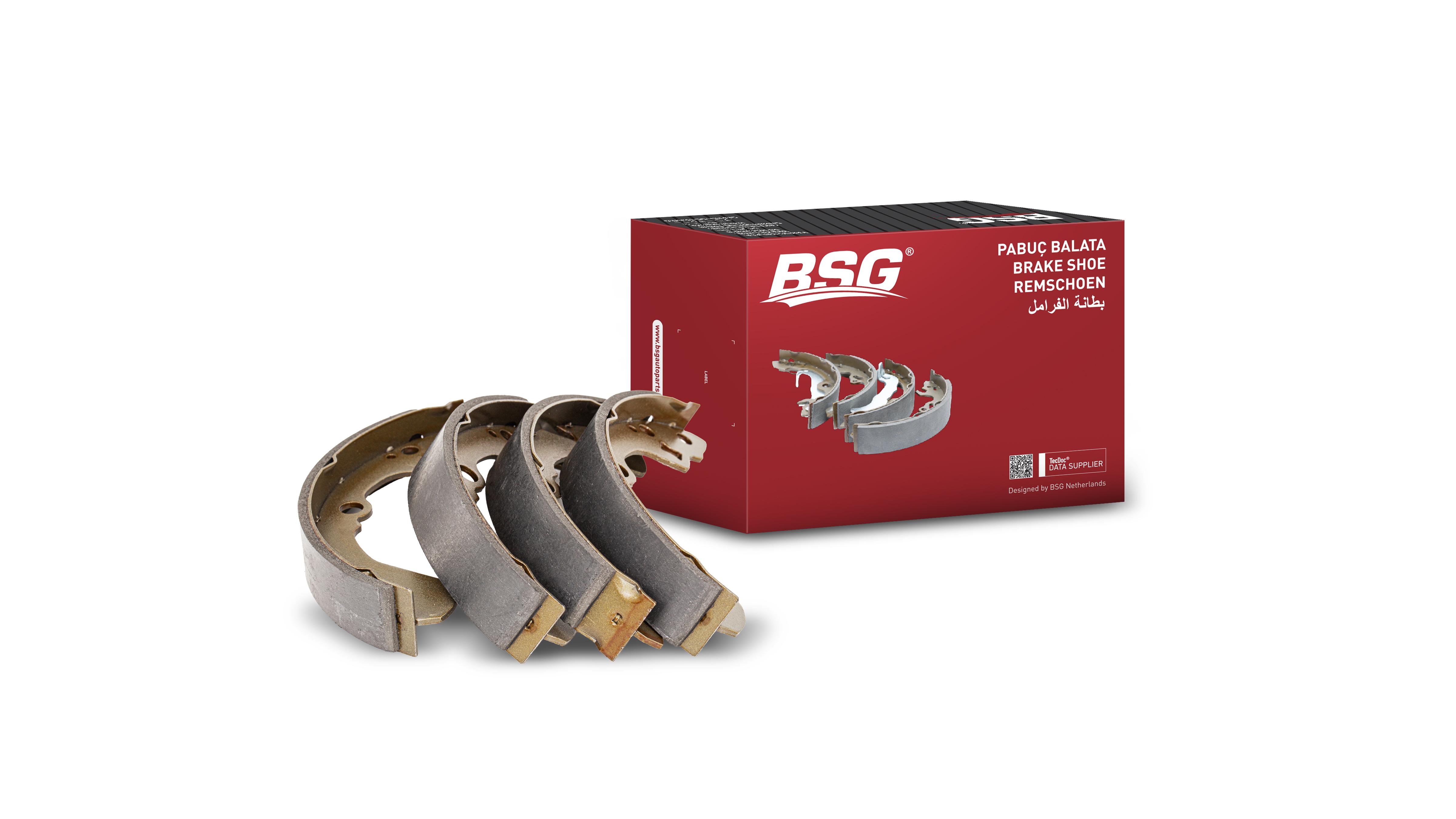 Brake Shoes
