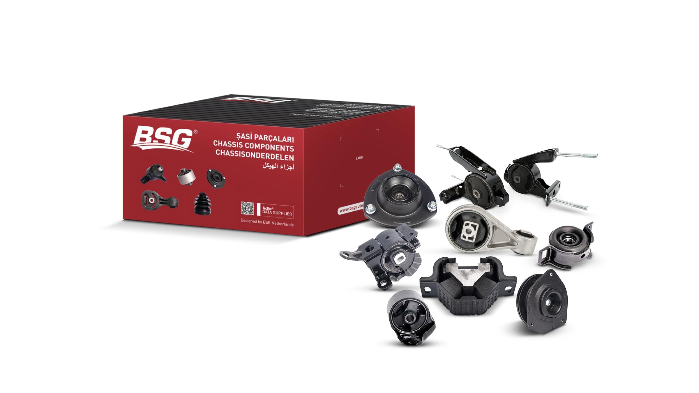 BSG Mounting Group