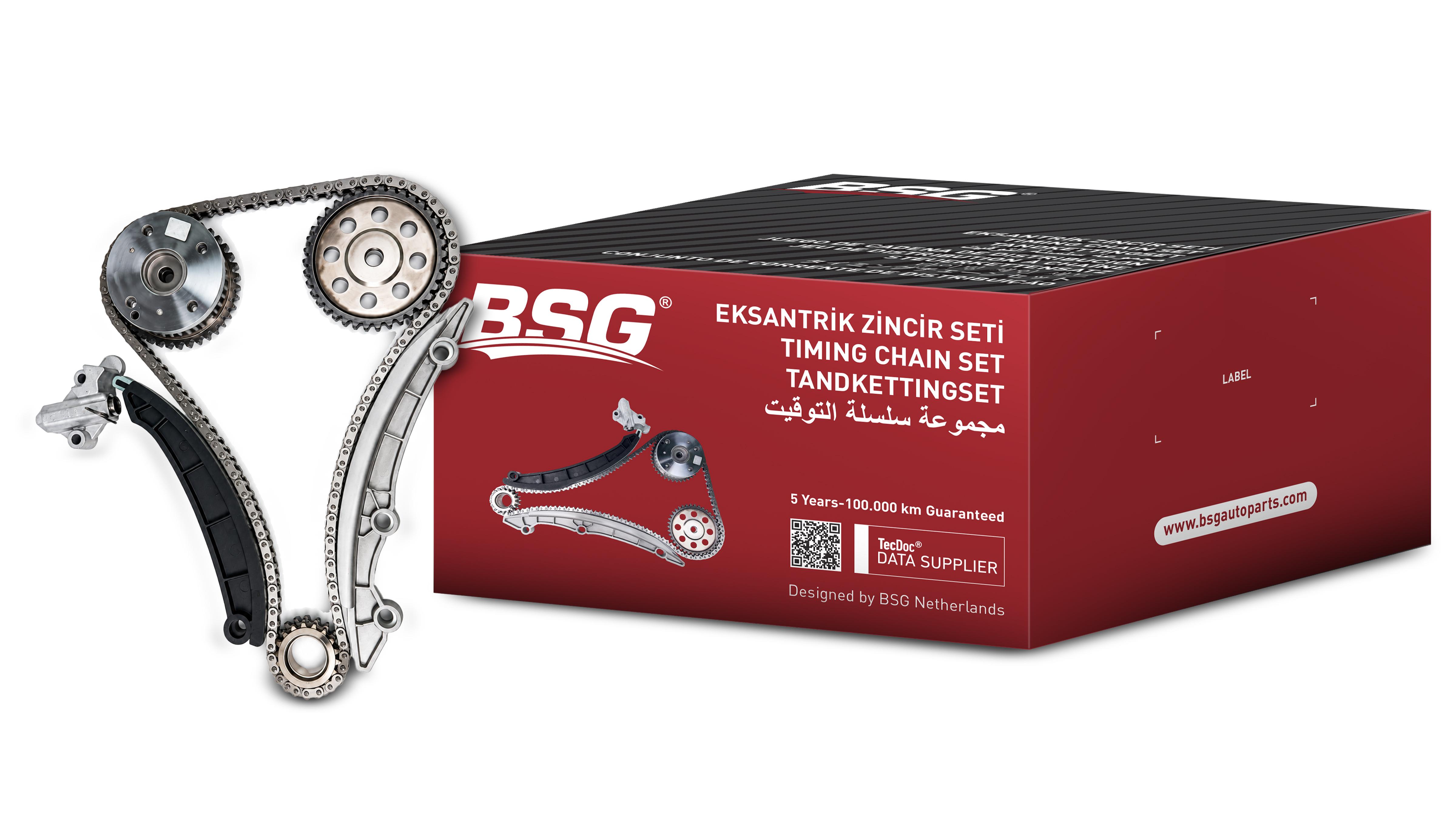 Timing Chain Kit