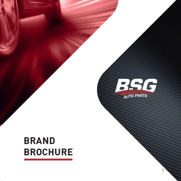 BSG-Brochure
