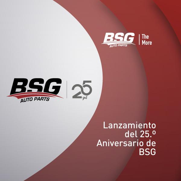 Lanzamiento de la edición del 25.º aniversario de BSG