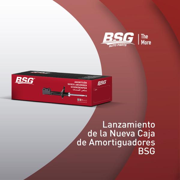 Lanzamiento del nuevo embalaje de los amortiguadores BSG