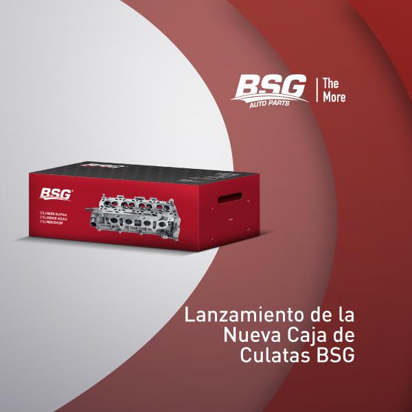 Lanzamiento del nuevo envase de la culata de BSG