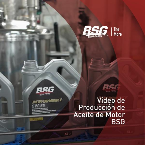 Vídeo de producción de aceite de motor de BSG