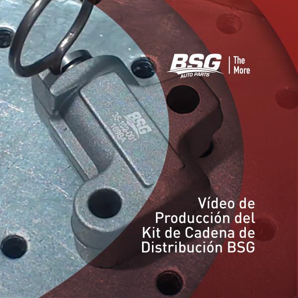 Vídeo de producción de kits de cadena de distribución de BSG